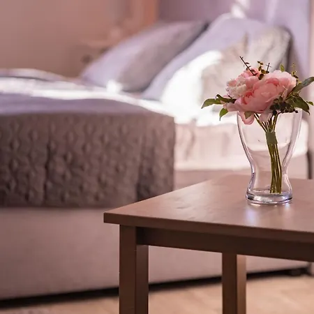 Apartmán V Soukromí V Oáze Klidu V Jindřichově Hradci