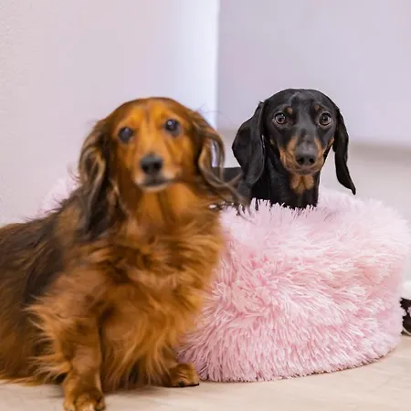 V Soukromí V Oáze Klidu V Jindřichově Hradci Apartmán *
